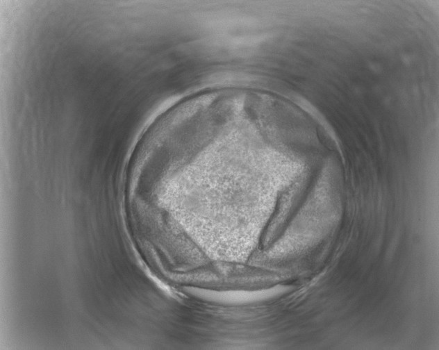 X0000063531437200602172230