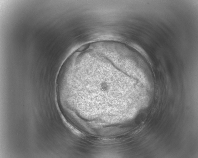 X0000063531439200602172230