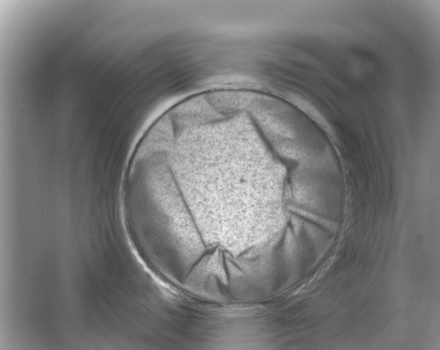 X0000063531440200602172230