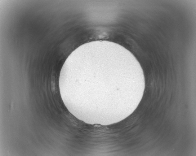 X0000063531442200602172230