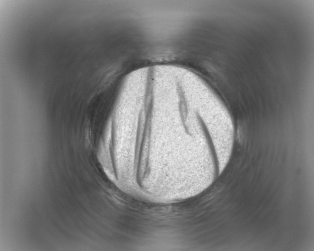 X0000063531444200602172230