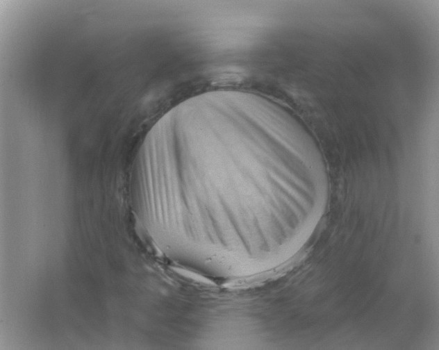 X0000063531445200602172230