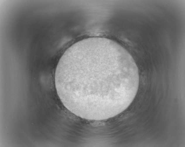 X0000063531446200602172230