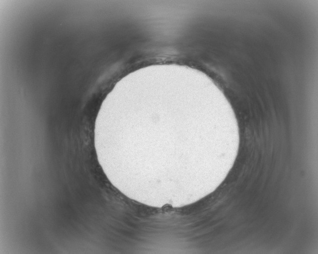 X0000063531447200602172229