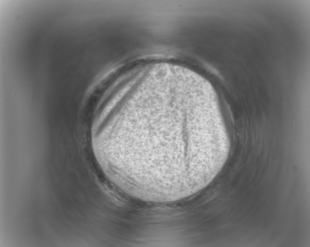 X0000063531448200602172229