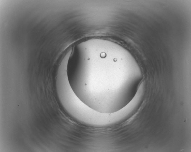 X0000063531449200602172229