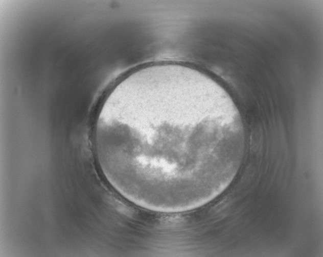 X0000063531454200602172229