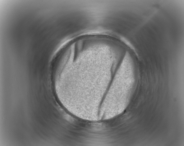 X0000063531456200602172229