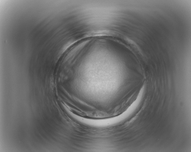 X0000063531457200602172229