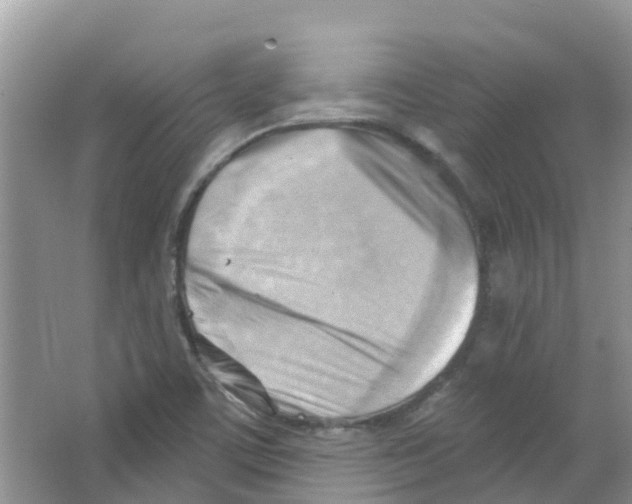 X0000063531459200602172229