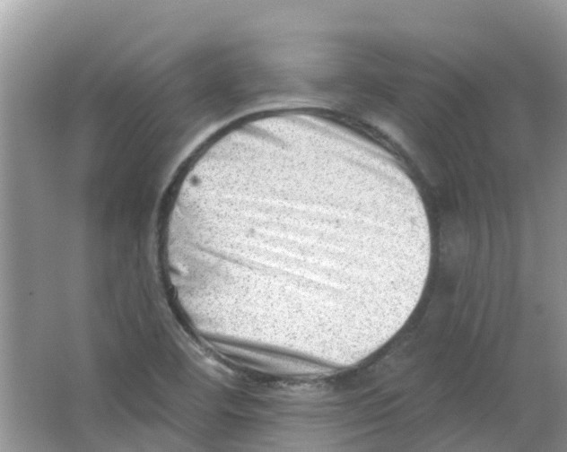 X0000063531460200602172229