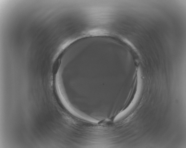 X0000063531461200602172229