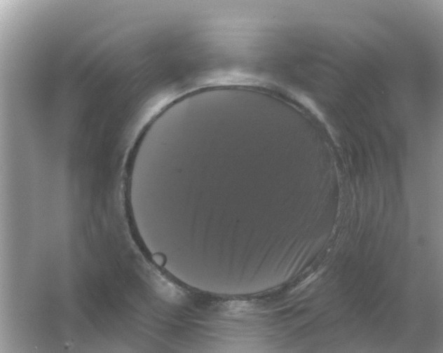 X0000063531463200602172229