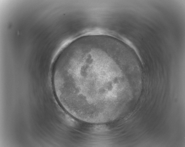 X0000063531464200602172229