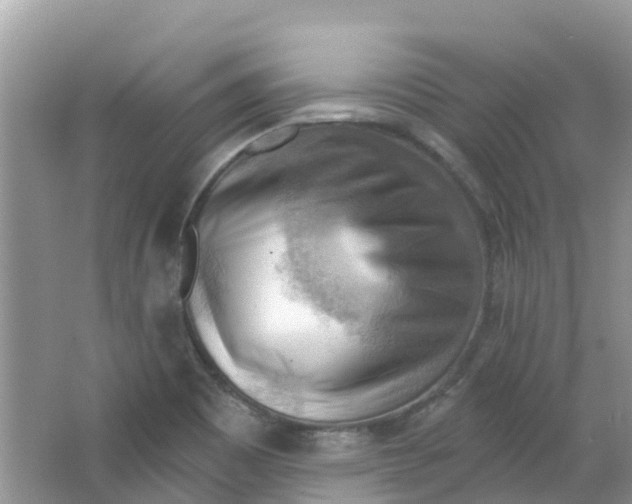 X0000063531465200602172229