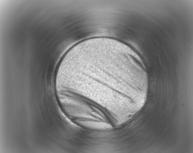 X0000063531468200602172229