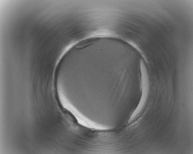 X0000063531469200602172229