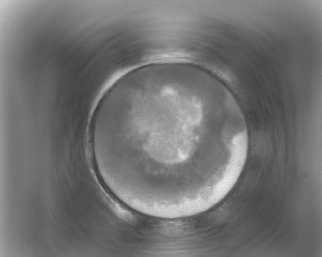 X0000063531470200602172229