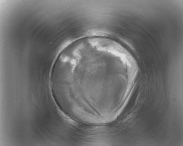 X0000063531471200602172229