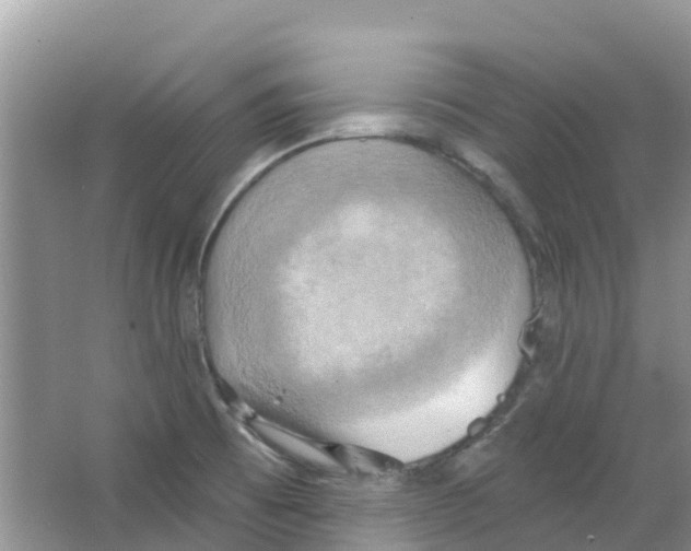 X0000063531473200602172229