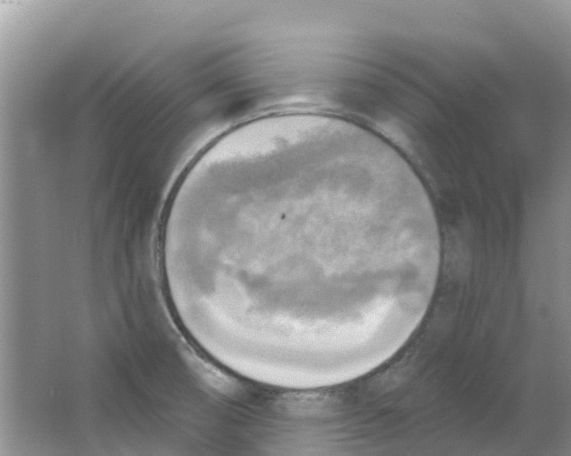 X0000063531474200602172229