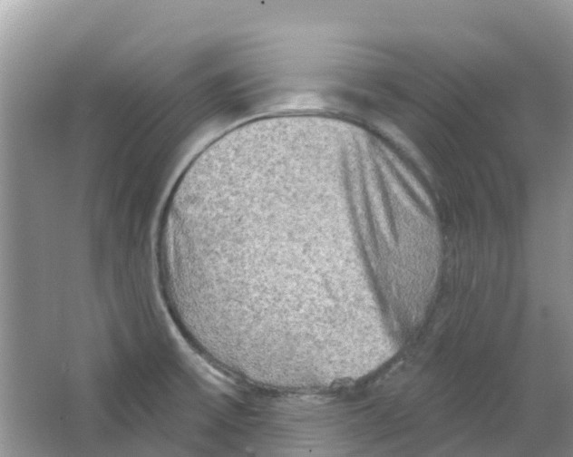 X0000063531475200602172229