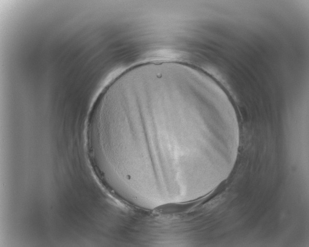 X0000063531477200602172229