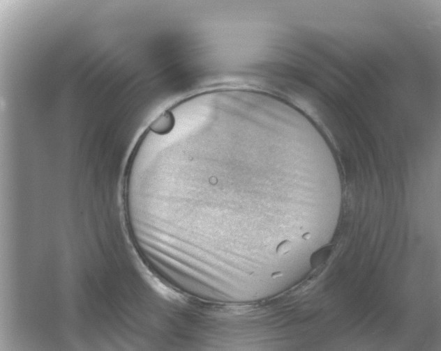 X0000063531482200602172229