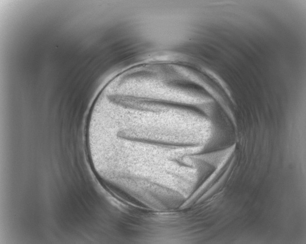 X0000063531483200602172229