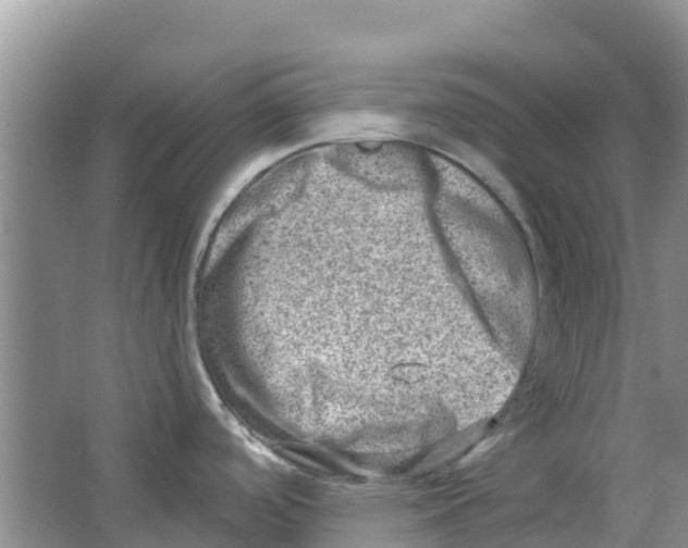 X0000063531488200602172229