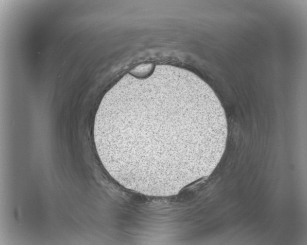 X0000063531489200602172228