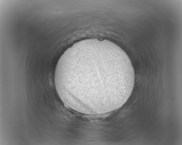 X0000063531490200602172228