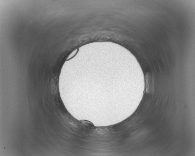 X0000063531491200602172228