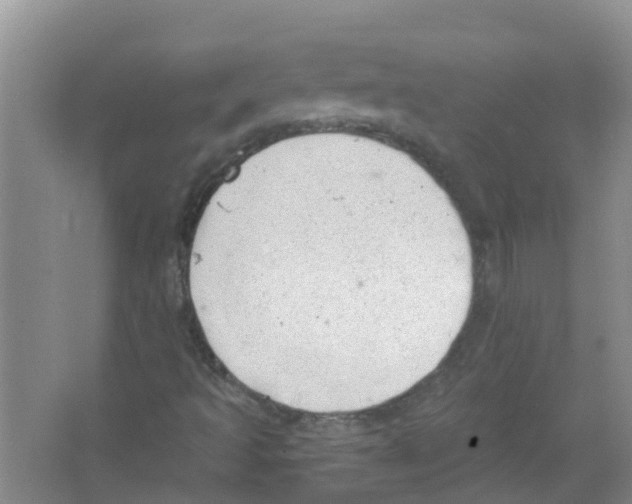 X0000063531493200602172228