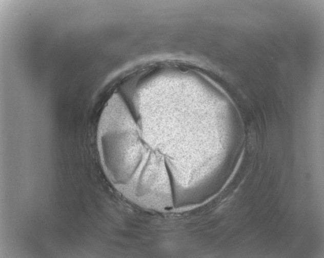 X0000063531494200602172228