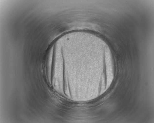 X0000063531497200602172228