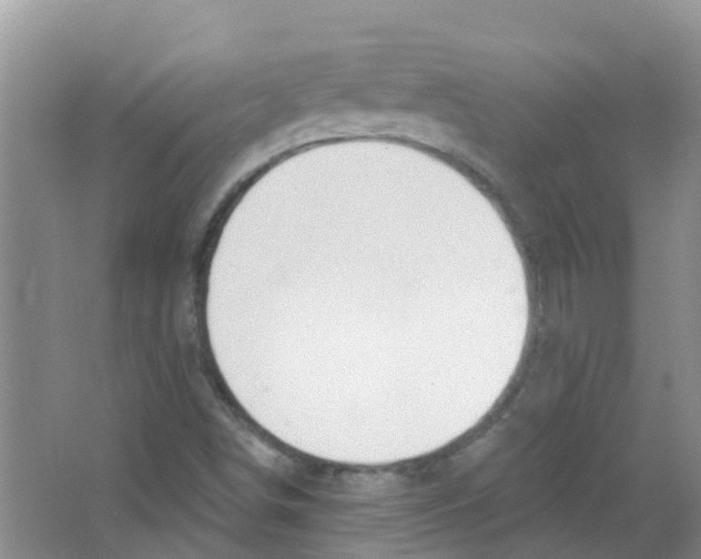 X0000063531498200602172228