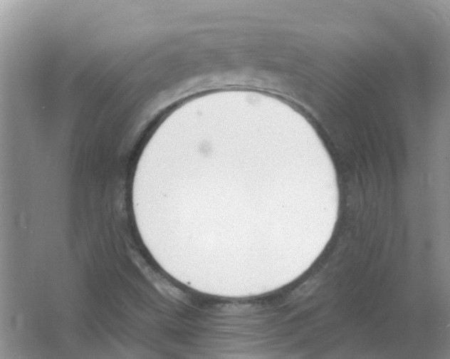 X0000063531499200602172228