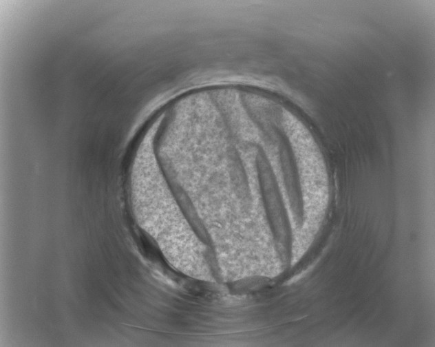 X0000063531501200602172228