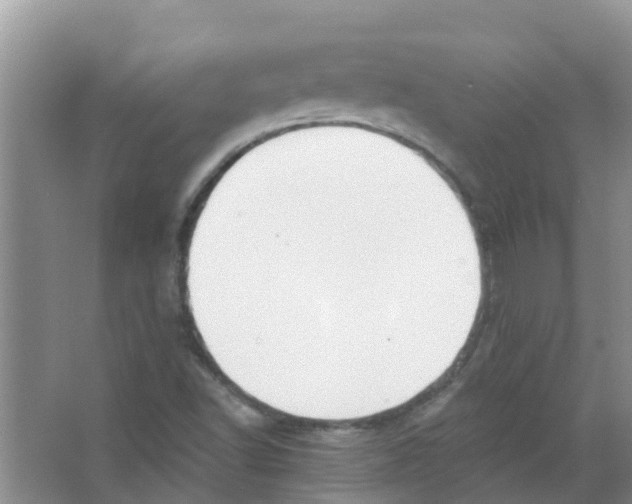 X0000063531502200602172228