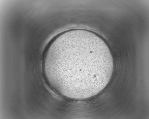 X0000063531503200602172228