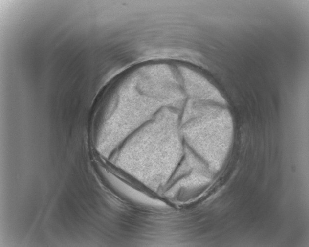 X0000063531505200602172228