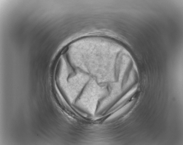 X0000063531506200602172228