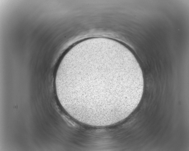 X0000063531507200602172228