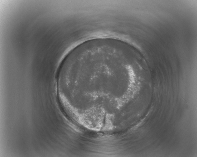 X0000063531509200602172228