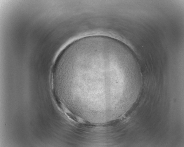 X0000063531510200602172228