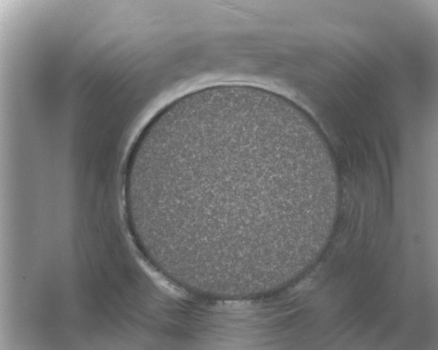 X0000063531511200602172228