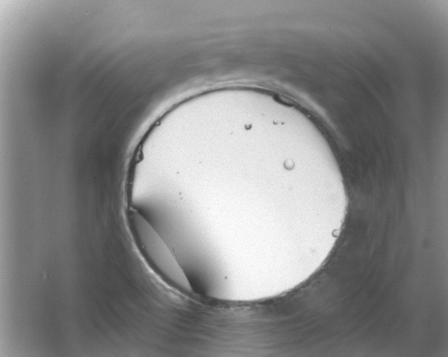 X0000063531512200602172228