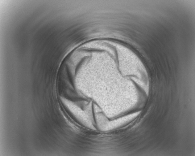 X0000063531513200602172228