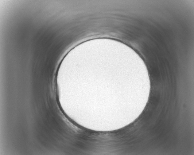 X0000063531516200602172228